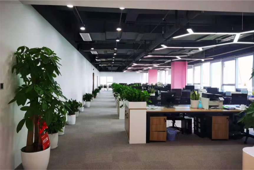 团队人数突破百人大关